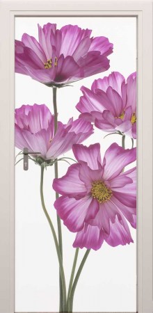 XL deursticker roze bloemen 9237280